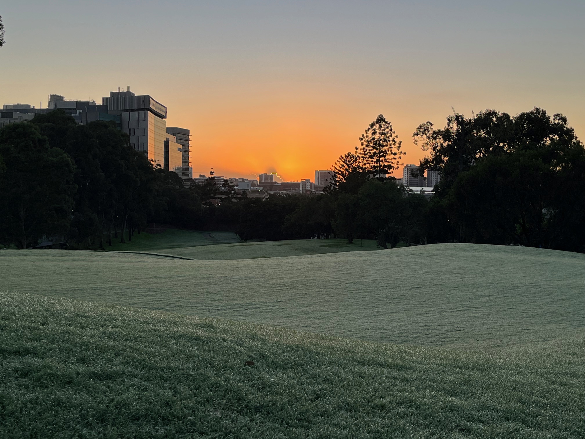 Authentic sunset photo - ZeroFake verified